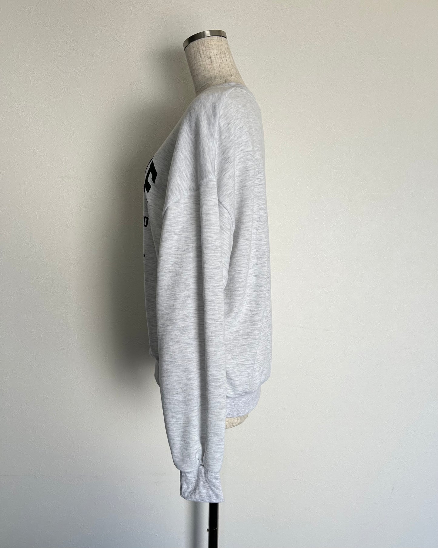 <SL2233685> bear sweat