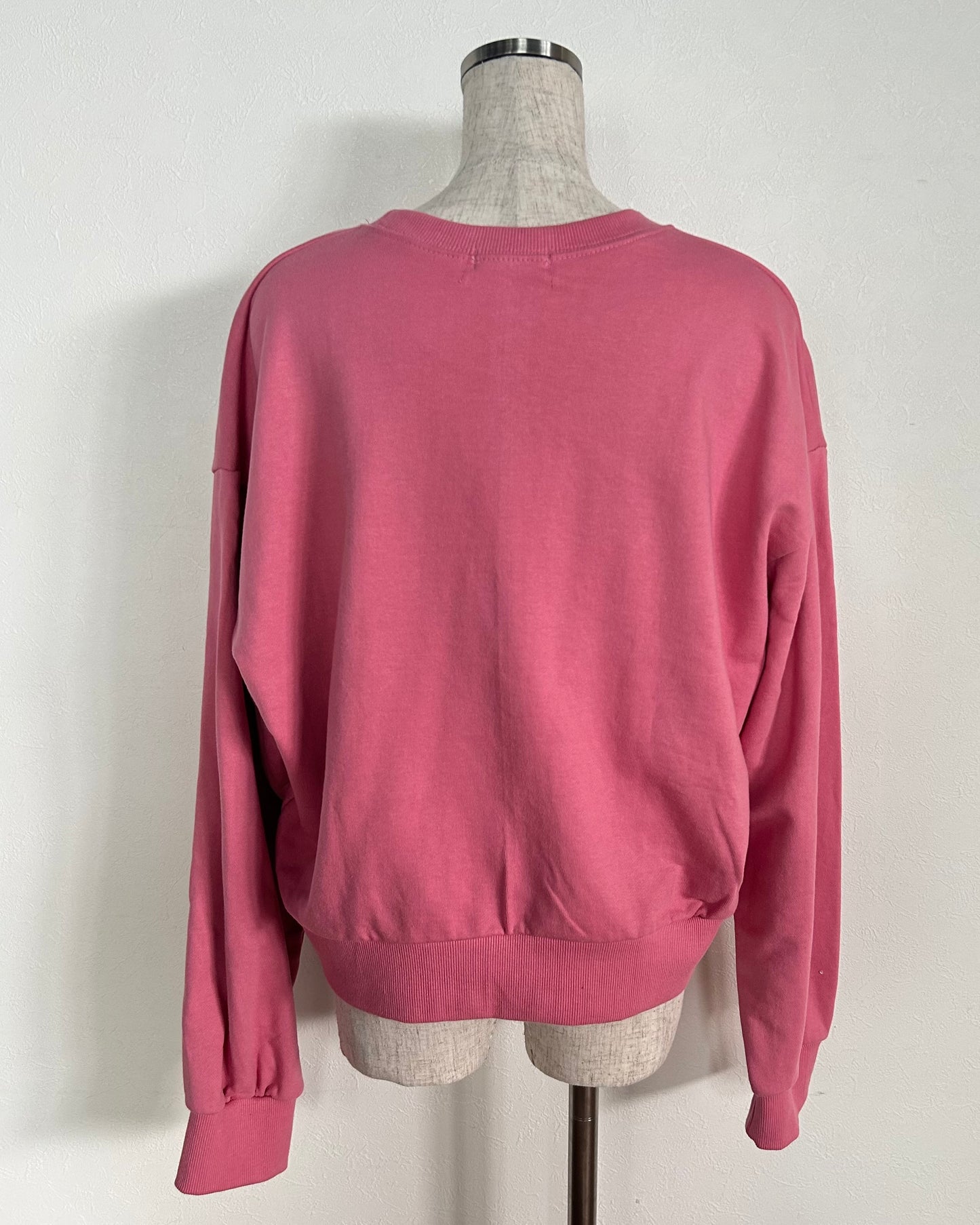 <SL2233689> レトロレタリングスウェット