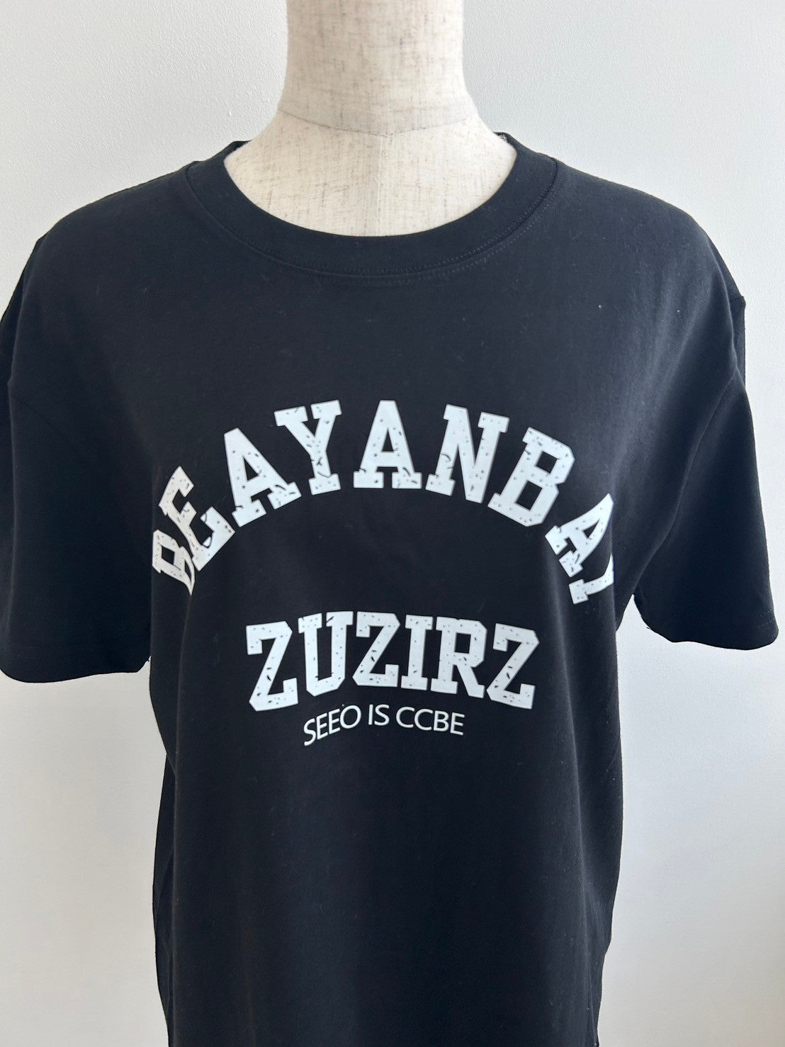 <CH2242809> ロゴカラーシャツ