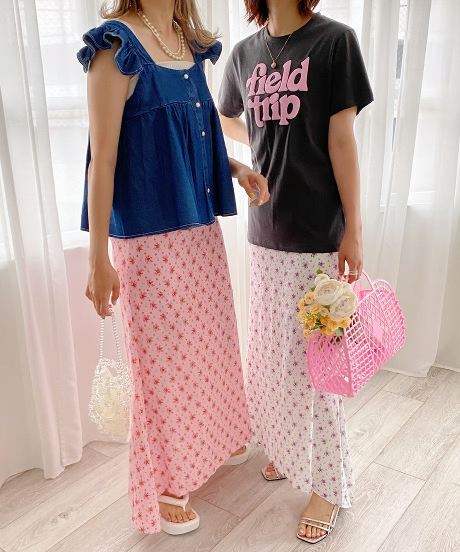 <SL2232711> field trip T