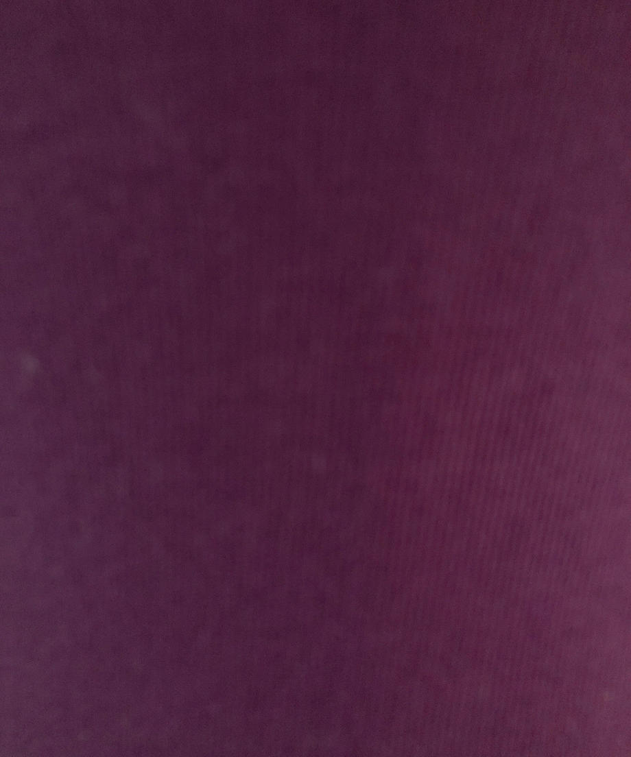 <NA2223216> インナータートルネック