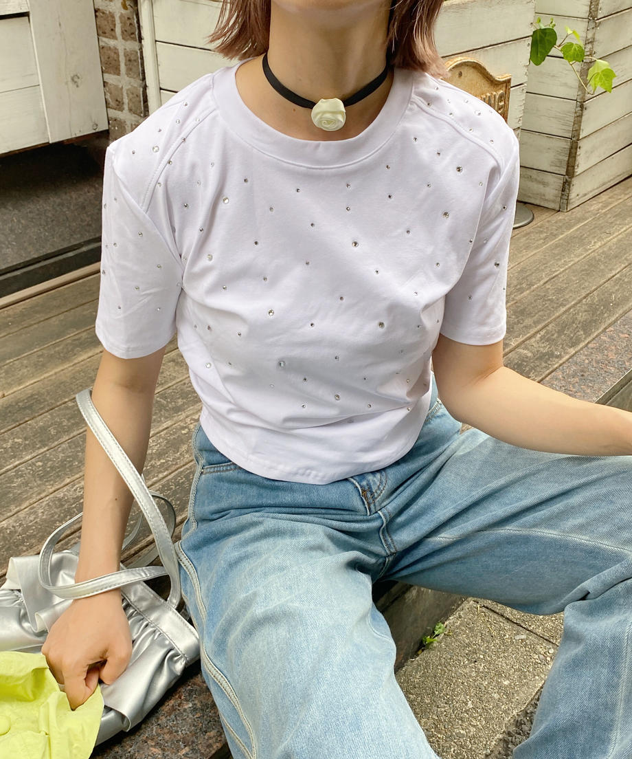 <SL4233602> ローズチョーカー