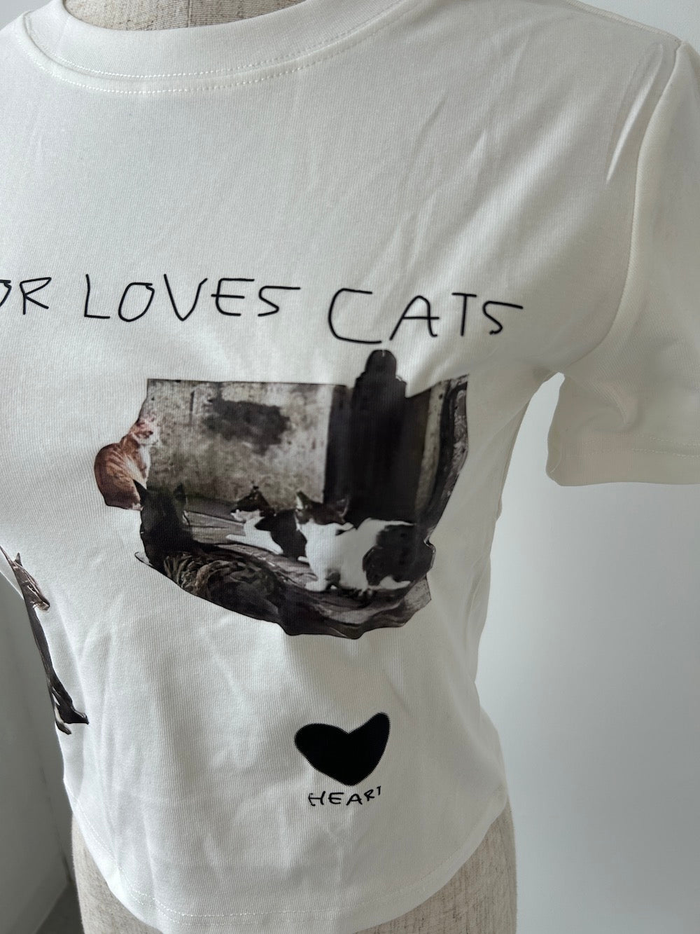 ＜LE2242902＞　CAT Tシャツ