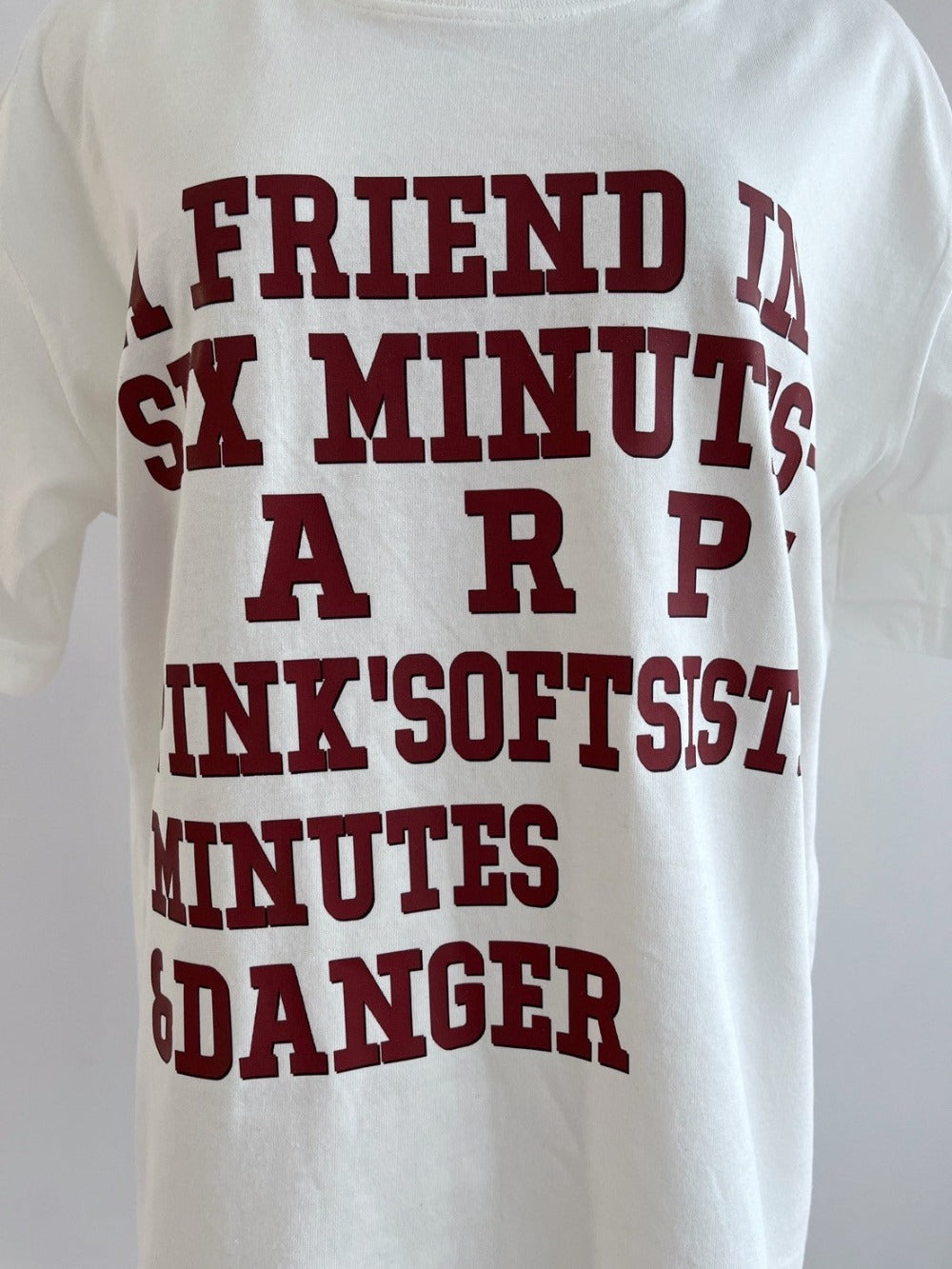 ＜LE2242911＞　ビンテージロゴビッグTシャツ