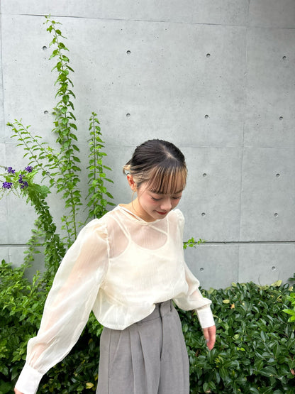 ＜IT2233415＞　シフォンシアーブラウス