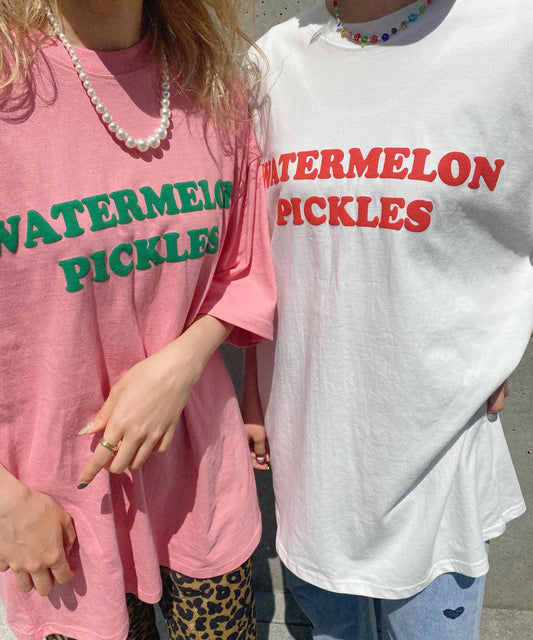 ＜SL2222703＞　WATERMELON BIG T
